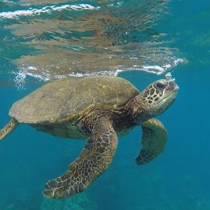 Meet your Posher, Barbra